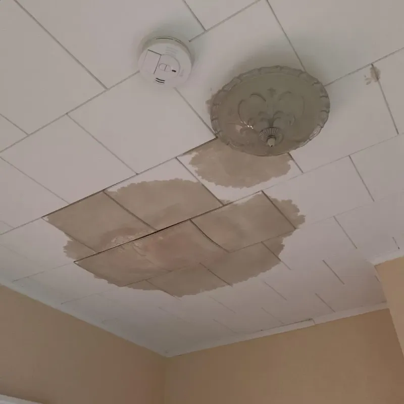 Ceiling Water Damage Repair in Coventry Lake, CT