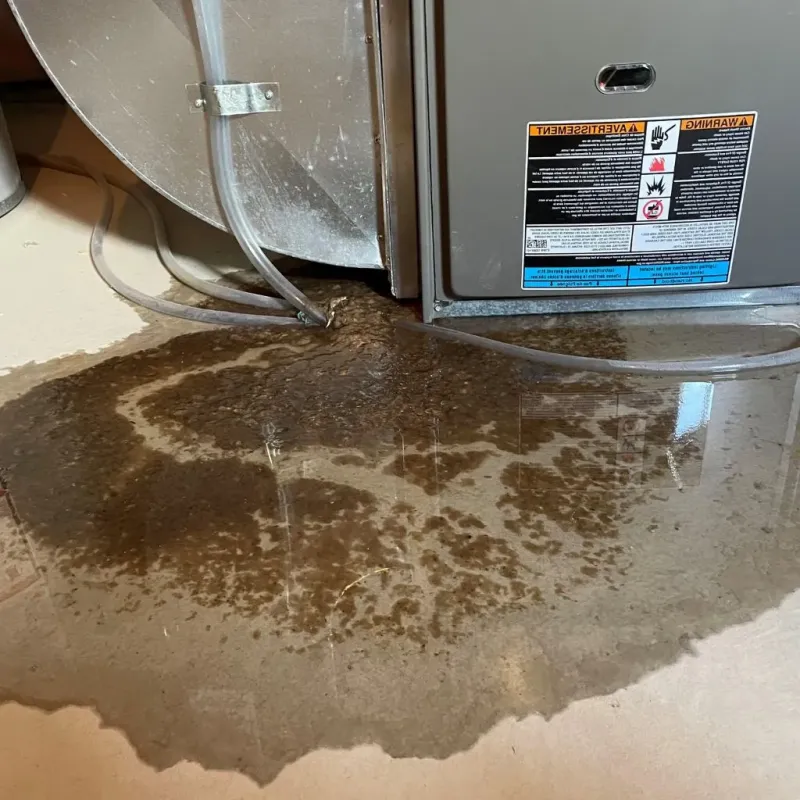 Pipe Burst and Leak Restoration in Coventry Lake, CT
